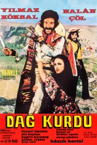 گرگ کوهستان
