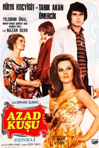 پرنده آزاد