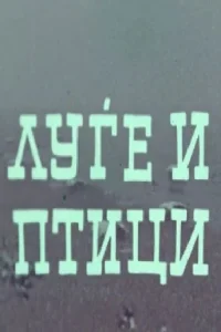 الناس والطيور