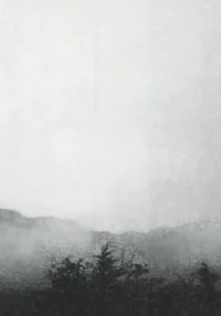 Mist