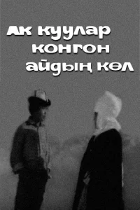 قوها به اینجا می‌آیند