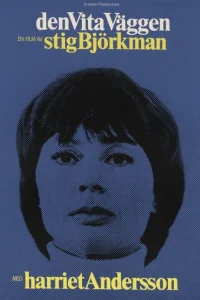 دیوار سفید