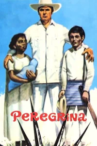 پره‌گرینا