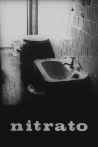 نیتراستو