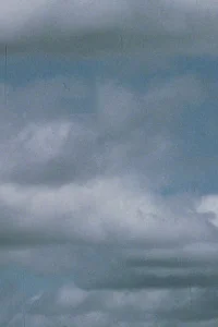 پان 0