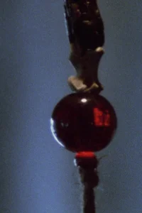 پندول ۱