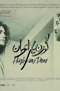 الغزال على الطريق السريع