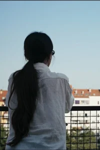 سجل المشاهد