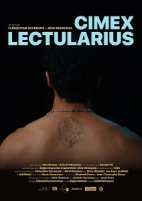 سیمکس لکتولاریوس