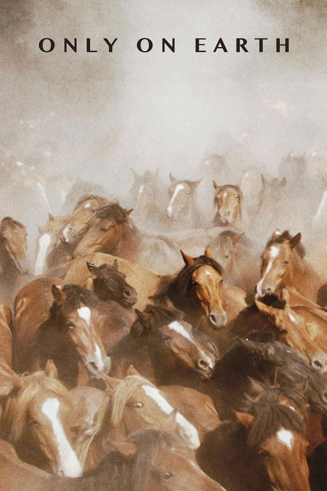 El rugir de las llamas