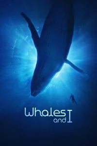 Whales and I