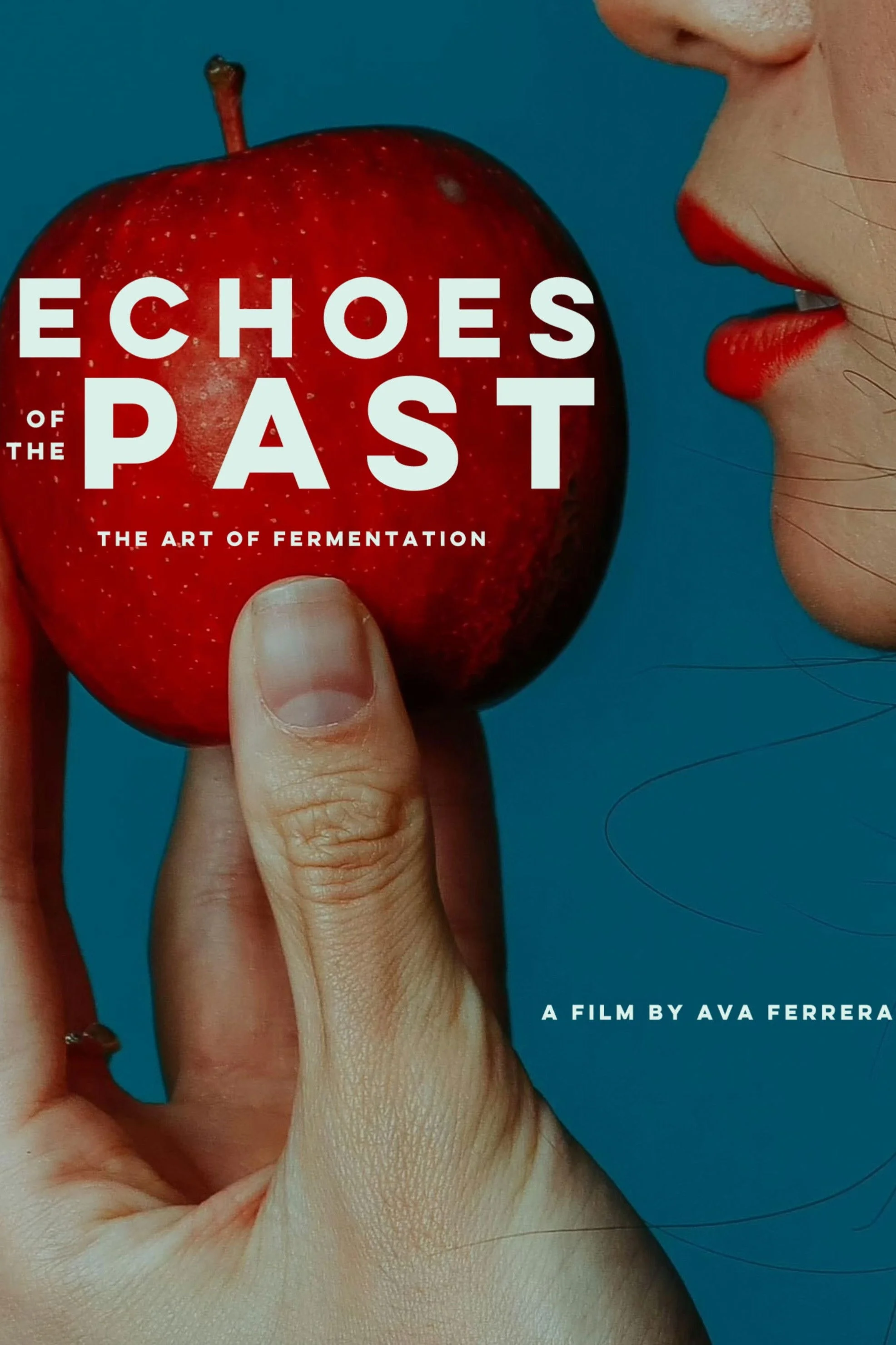 Echoes of the Past
