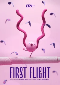 First Flight