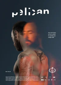 پلیکان
