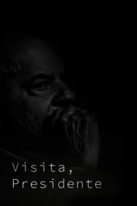 بازدید، رئیس‌جمهور