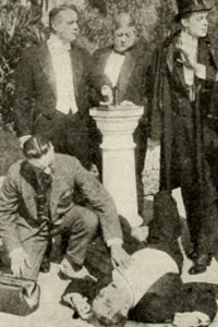 عنکبوت و تارش