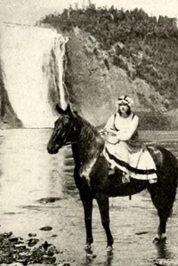 ولف یا فتح کبک