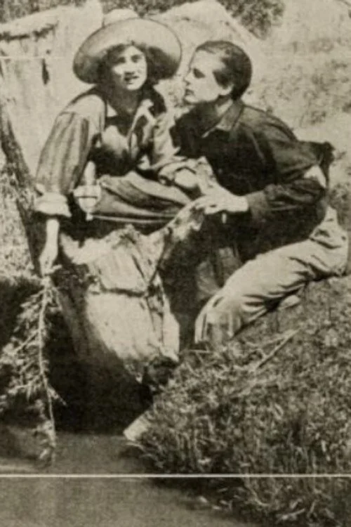 فراتر از مرز
