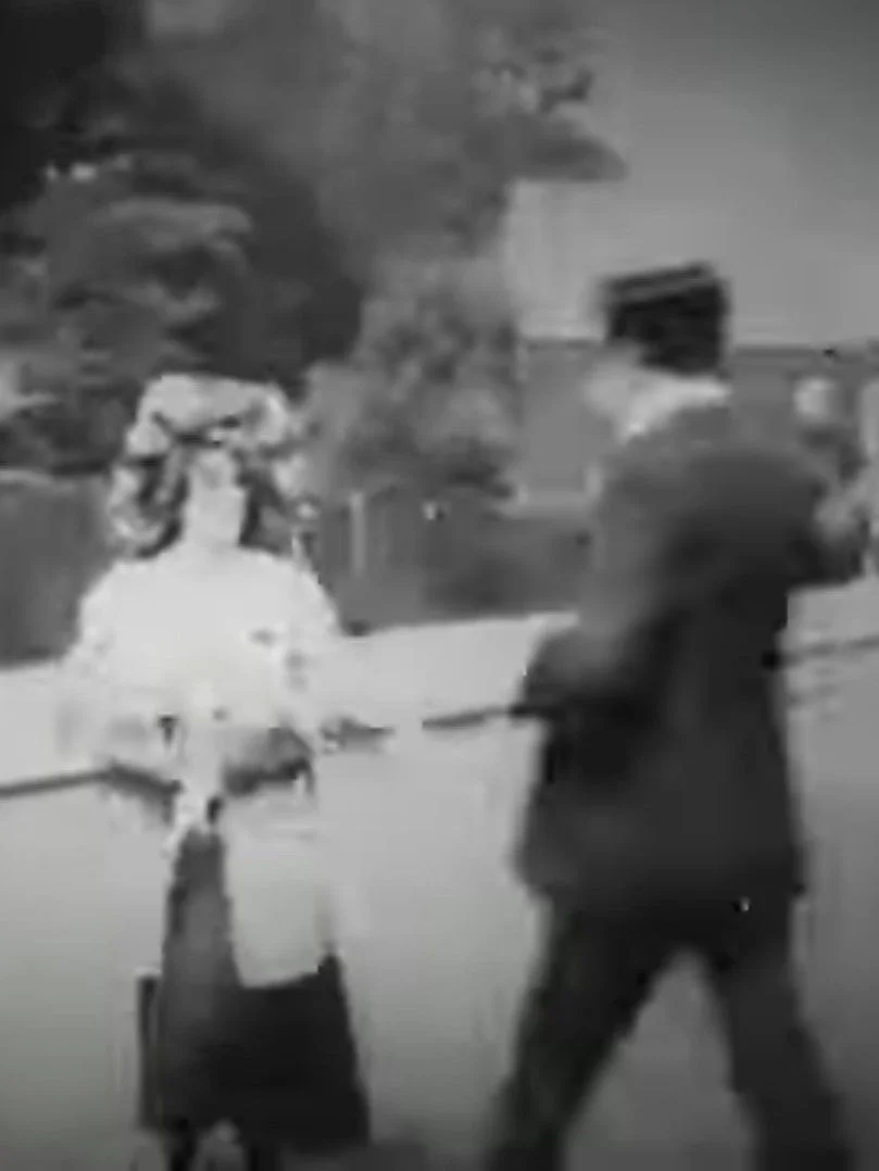 گم شده، دزدیده شده یا سرگردان
