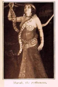 مارا، پیشگویه