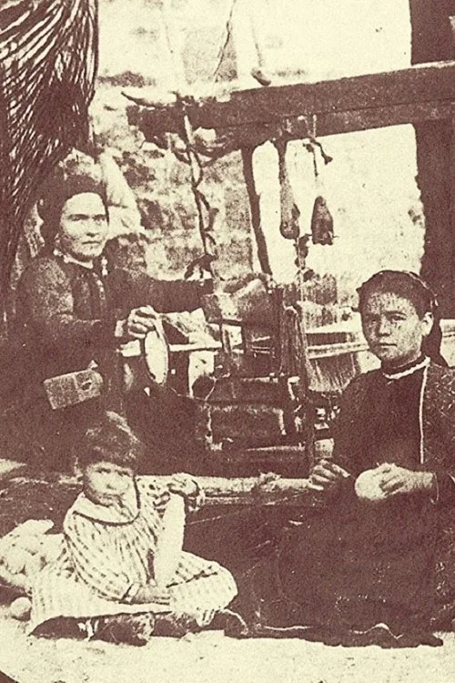 کوچ‌نشینان والاشی