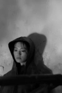 چه کسی در نقره‌ای خاکستری خوابیده