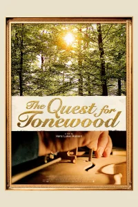 در جستجوی چوب طنینی
