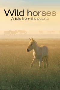 Los caballos salvajes de Hungria: Una historia de Puszta