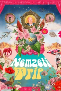 هالوسینیشن