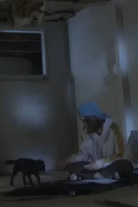 وینی