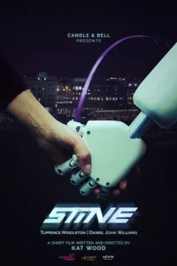 استین