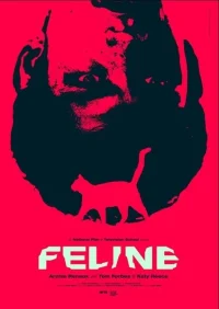 گربه‌سان