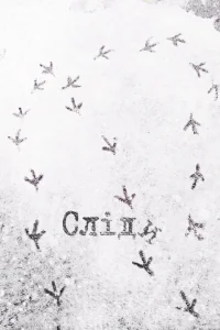 ردها
