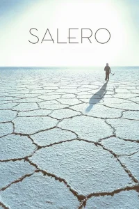 Bolivie, le salar d'Uyuni, désert de sel... et de lithium