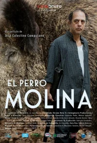 سگ Molina