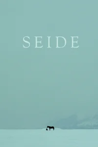 Seide