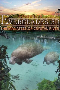 ماجراجویی دریاچه های Everglades سه بعدی - سوسمارهای کریستال رود