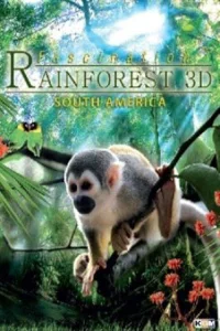 فهمان Rainforest سه بعدی