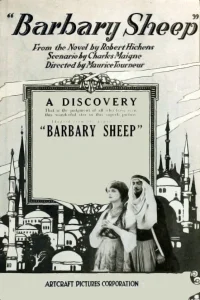 گوسفند بارباری