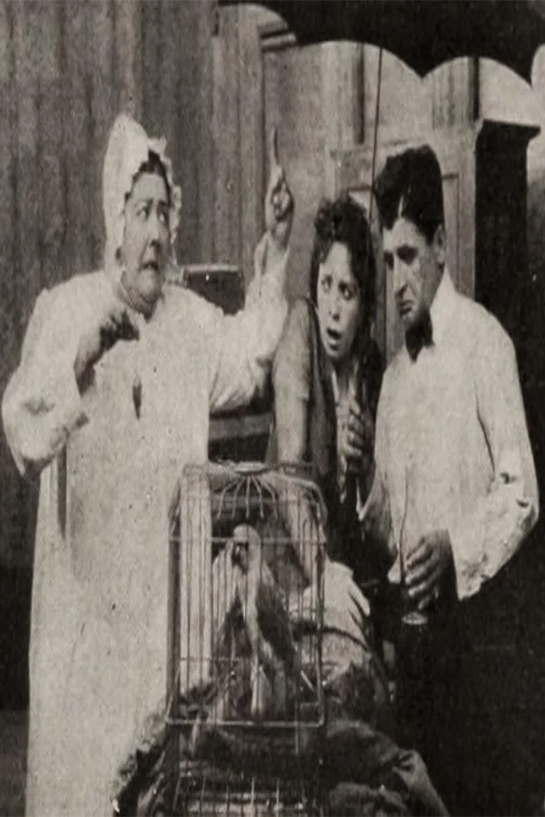في أركاديا