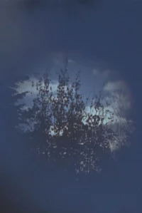 درون