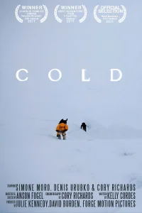 الم سرمایی