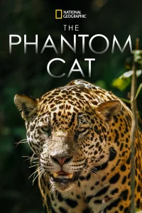 القط الخيالي Jaguar