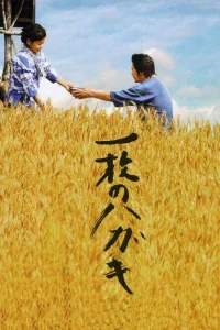 کارت پستال