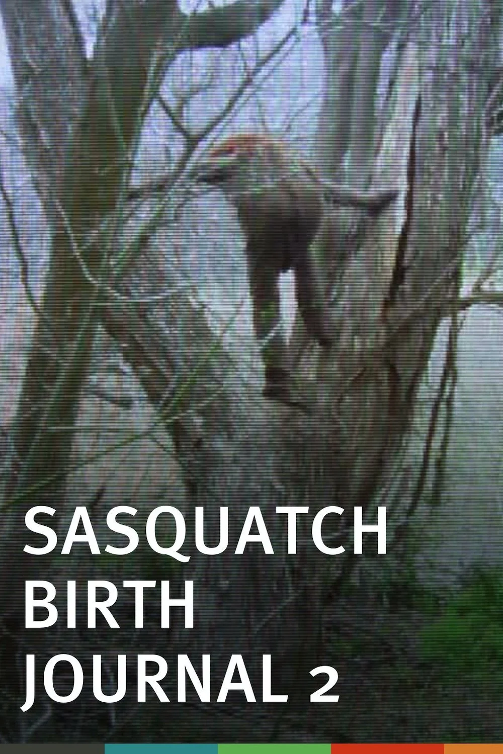 دفتر خاطرات تولد Sasquatch شمارهٔ دو