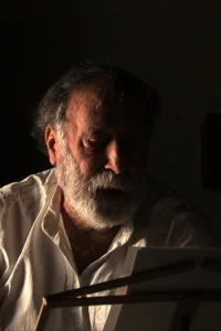 ویلای ویولن