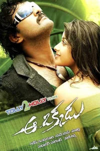 او اه اوکادو