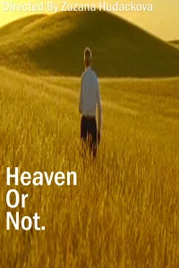 Heaven Or Not