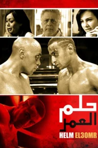 هلم اومر