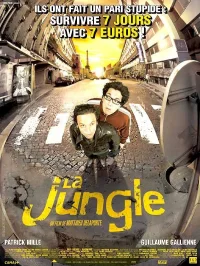 جنگل
